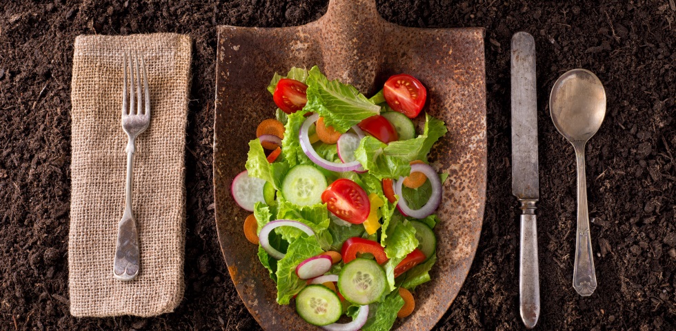 Eine als Teller umfunktionierte Schaufel voller Salat und buntem Gemüse, links und rechts davon Besteck, liegend auf Erde